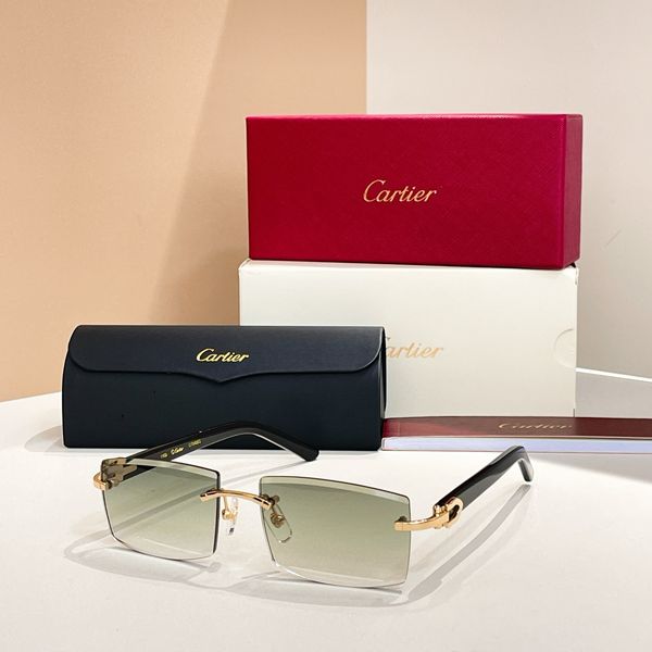 C*artie Glasses Top XX 20250414-1