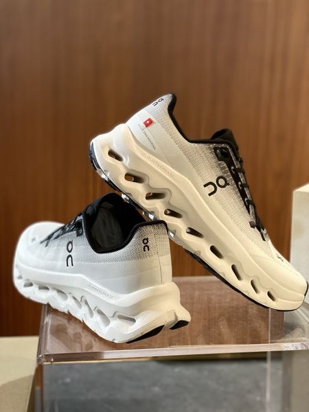 L*oewe Top  Sneaker Low RR 20250417-33