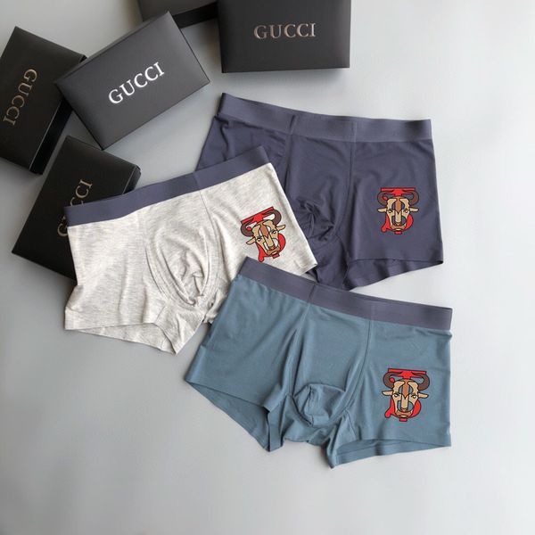 Underpants Top 3 Pieces