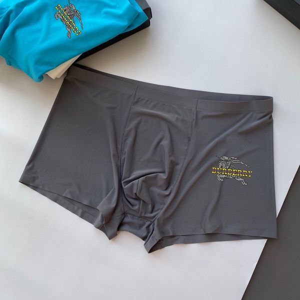 Underpants Top 3 Pieces