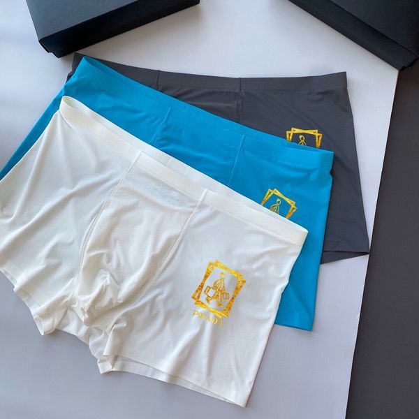 Underpants Top 3 Pieces