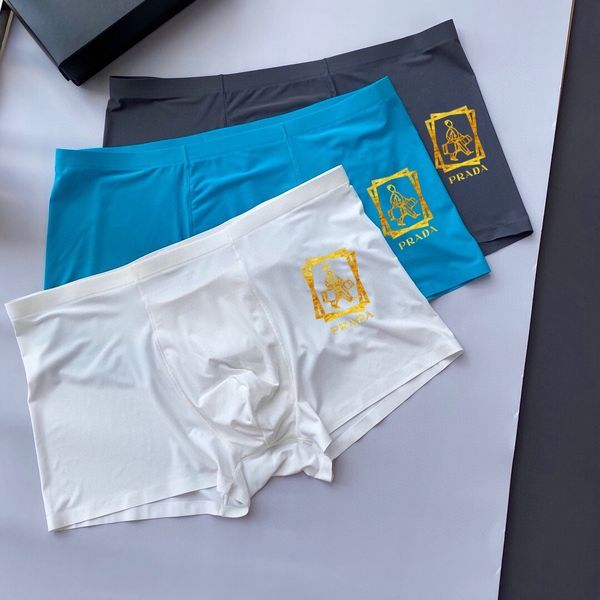 Underpants Top 3 Pieces