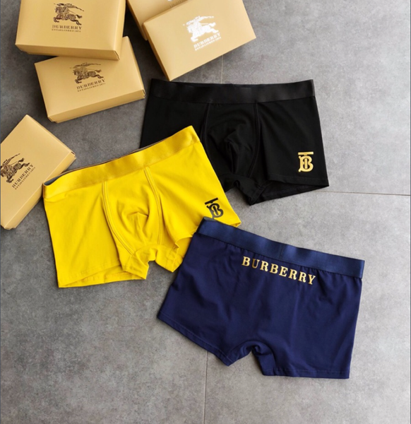 Underpants Top 3 Pieces