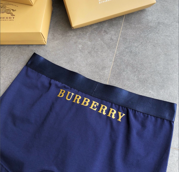 Underpants Top 3 Pieces