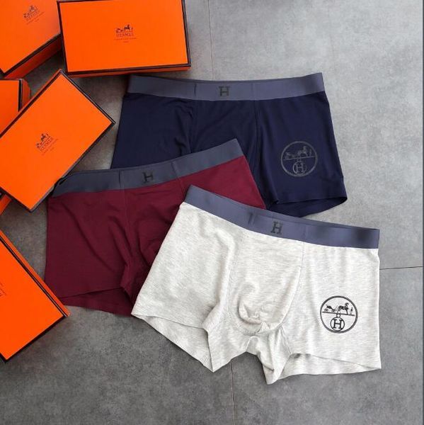 Underpants Top 3 Pieces