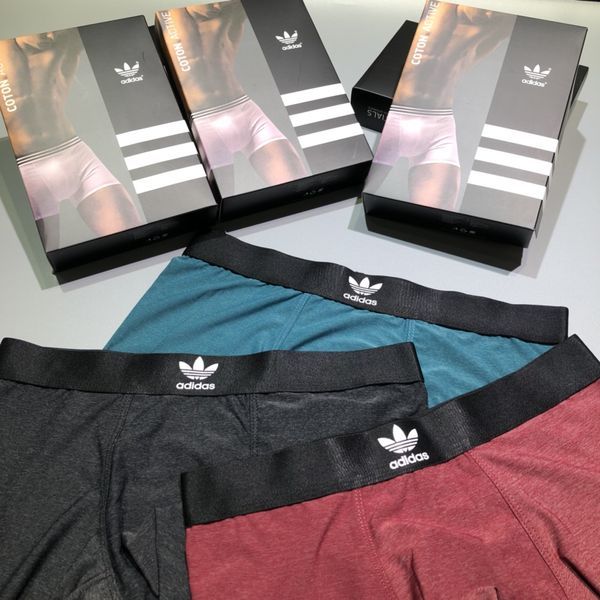 Underpants Top 3 Pieces