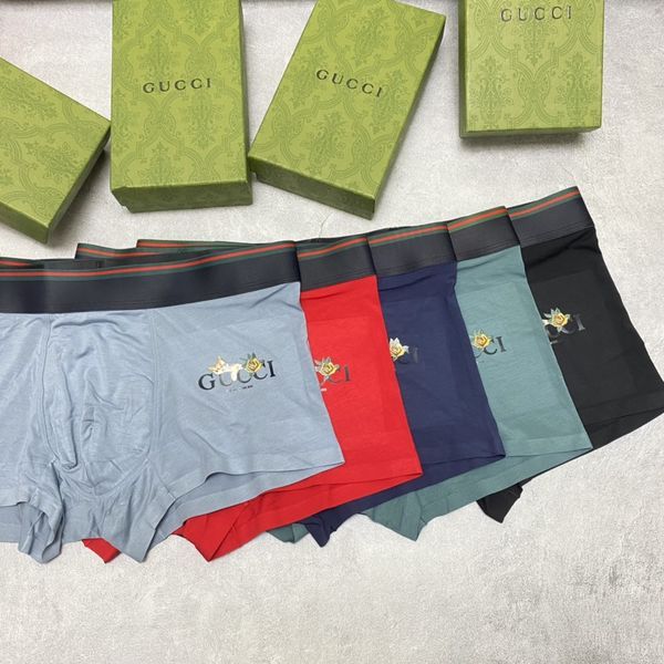 Underpants Top 3 Pieces