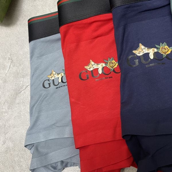 Underpants Top 3 Pieces