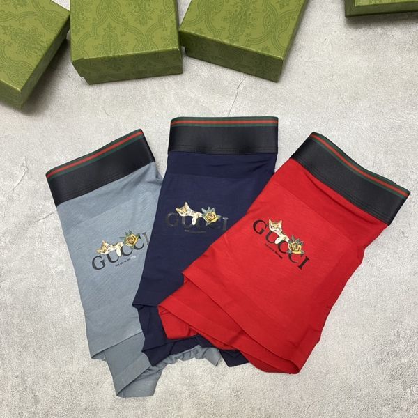 Underpants Top 3 Pieces