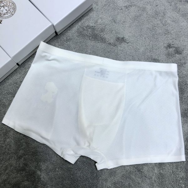 Underpants Top 3 Pieces