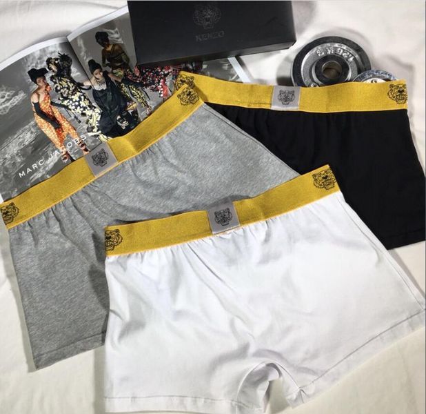 Underpants Top 3 Pieces