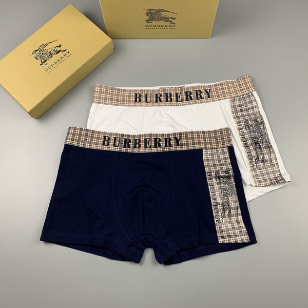 Underpants Top 3 Pieces