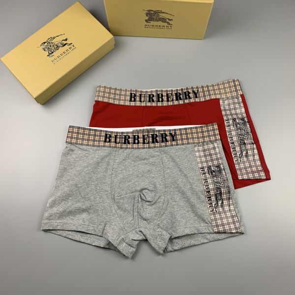 Underpants Top 3 Pieces