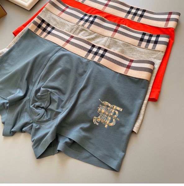 Underpants Top 3 Pieces