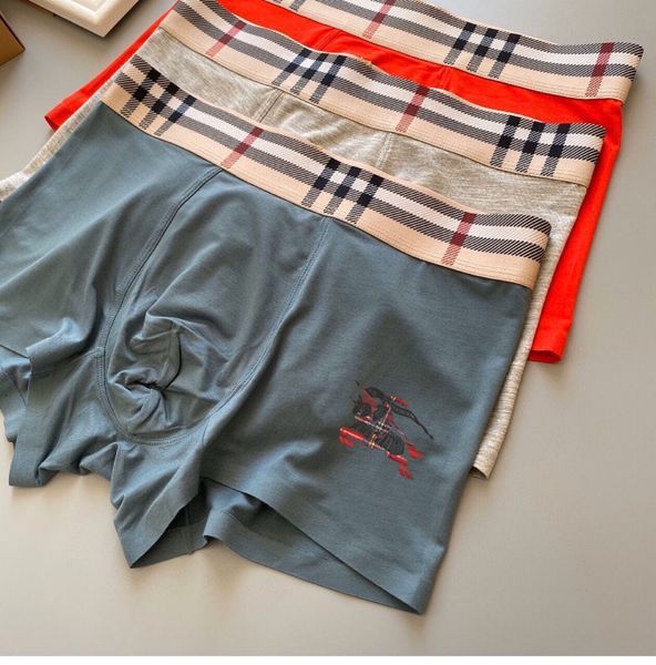 Underpants Top 3 Pieces