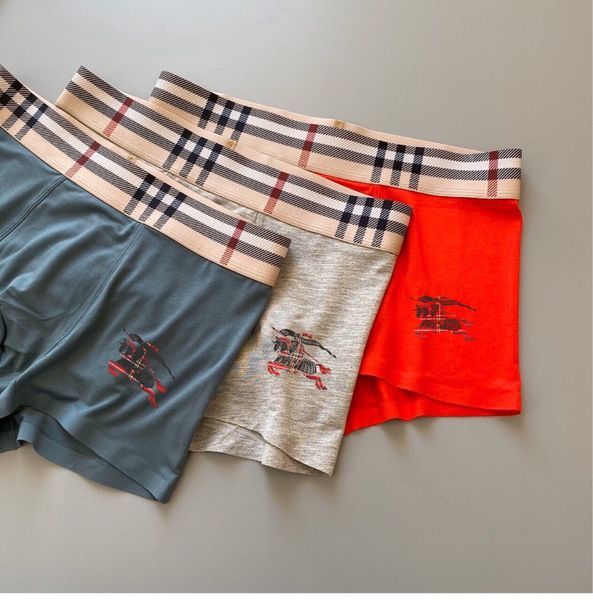 Underpants Top 3 Pieces