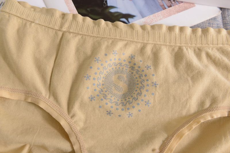 Women Underpants Top 4 Pieces