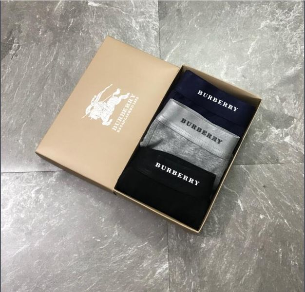 Underpants Top 3 Pieces