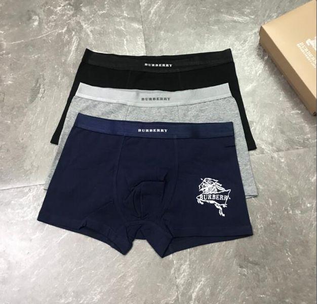 Underpants Top 3 Pieces