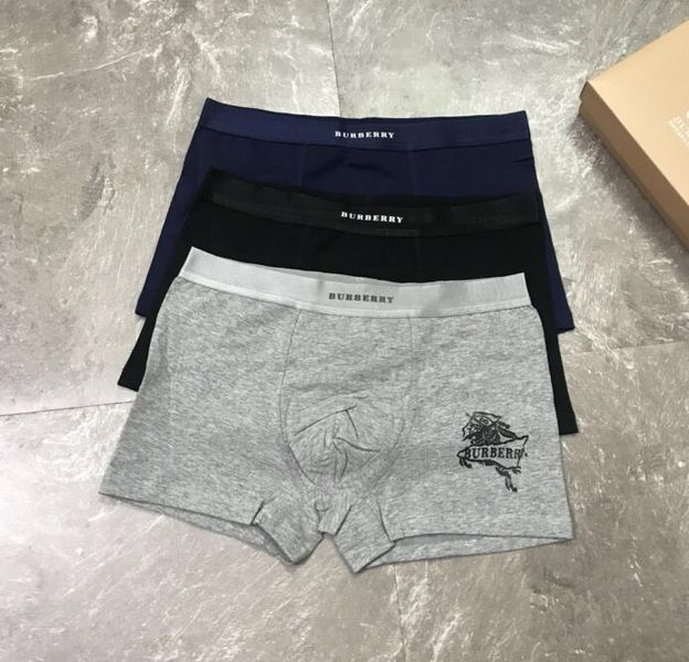 Underpants Top 3 Pieces