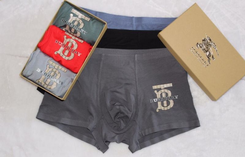 Underpants Top 3 Pieces