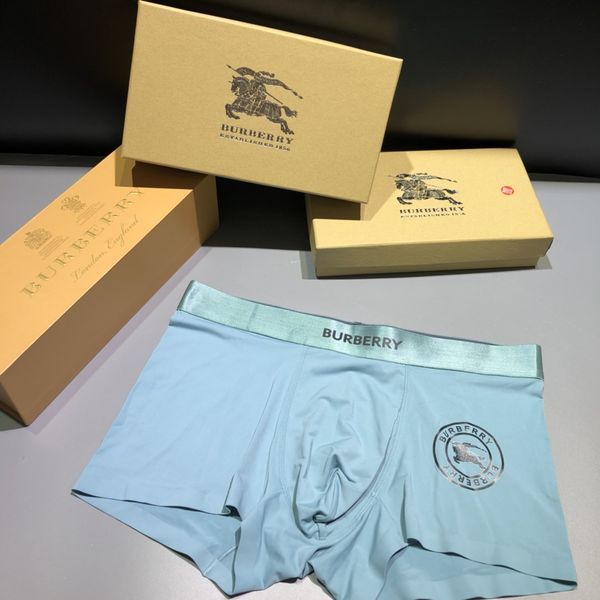 Underpants Top 3 Pieces